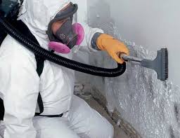 Best Residential Mold Inspection & Testing  in Bren Arrow, OK